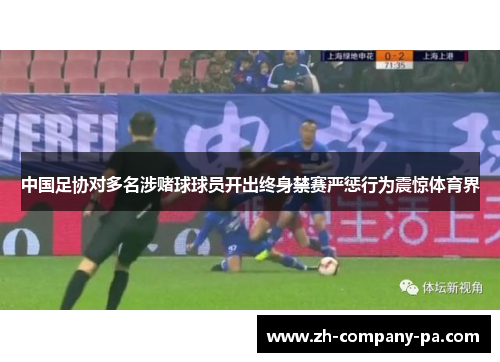 中国足协对多名涉赌球球员开出终身禁赛严惩行为震惊体育界 中国足协对多名涉赌球球员开出终身禁赛严惩行为震惊体育界